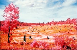 kingston+plains.jpg