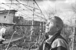 Andrey Milyayev | Portfolio 003_R.jpg