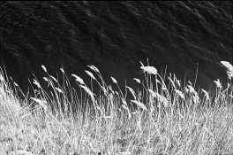 Andrey Milyayev | Portfolio 004_R.jpg