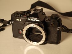P6074000.jpg