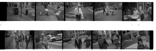 Tri-x vs Hp5 in D76003.jpg