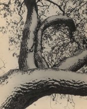 Coffee.jpg Coffee.jpg