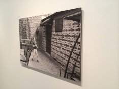 sintra_on_masonite_1.JPG