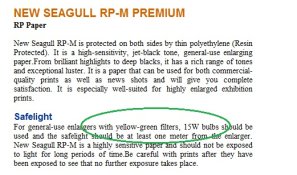 seagull.jpg