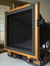 8x10d.jpg