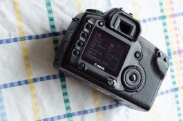 DSC_2304.jpg