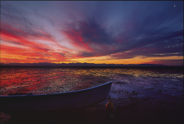 Tidalflats_Nelson_SI_NZ03.png