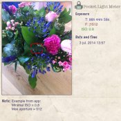 pocket-light-meter-app-example.JPG