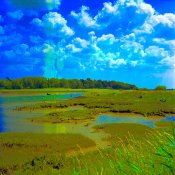 yellow-streak-2.jpg