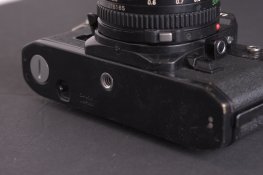 IMG_5088.jpg