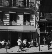 halation stand dev.jpg