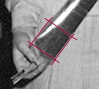 hand1-2.jpg