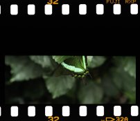 shutter1.jpg