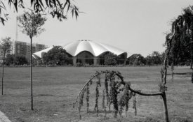 Azopan 100 ISO redus.jpg