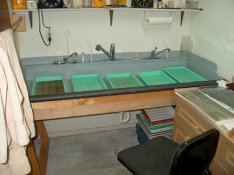 darkroom sink.JPG