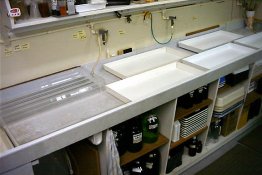 Wet Counter.JPG