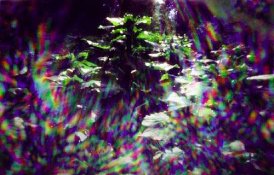 Lightspray.jpg