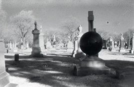img113.jpg