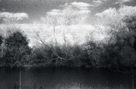 img017.jpg
