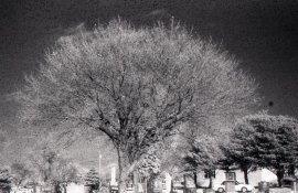 img023.jpg