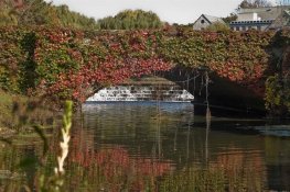 winchester-pond-8702 (Medium) (Medium) (Small).jpg