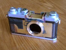nikonL.JPG