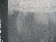 IMG_2562apug.jpg