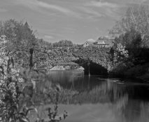 winchstr-fls-pond-4 (Medium).jpg