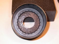 Heliar-iris-from-front.jpg