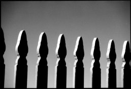 fence-jpg.jpg