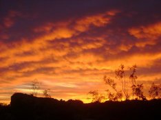 sunrise joshua tree 2007 .jpg