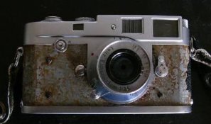 M2s.jpg