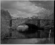 Untitled-1 (Medium).jpg