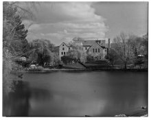 Untitled-2 (Medium).jpg