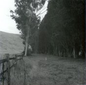 scan0001.jpg