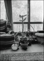 waiting for spring2.jpg