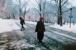 Boston Common, 1988 .jpg