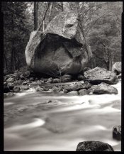 Rock, Merced River, YNP_Platinum.jpg