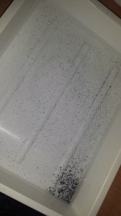 2014-07-13 11.29.05.jpg