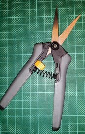 2014-07-17 08.01.20.jpg