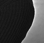 temp_002_Crop.jpg