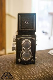 tlr1.jpg