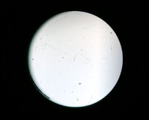 40mm Rear.jpg