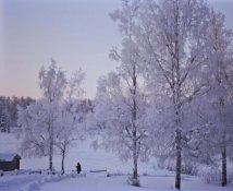 linhof 12.jpg linhof 12.jpg