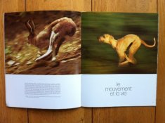 instants-magazine-2.JPG