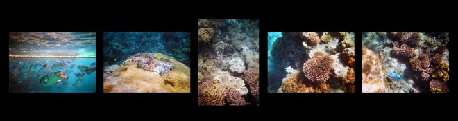 UNDERWATER3.jpg UNDERWATER3.jpg