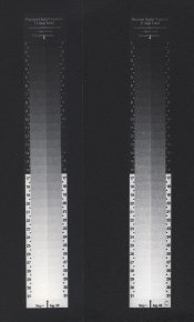 Ascorbic-comparison.jpg