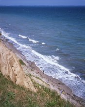 coast_850.jpg
