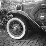 argus small 5.jpg argus small 5.jpg