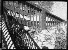 web zeiss 4.jpg web zeiss 4.jpg